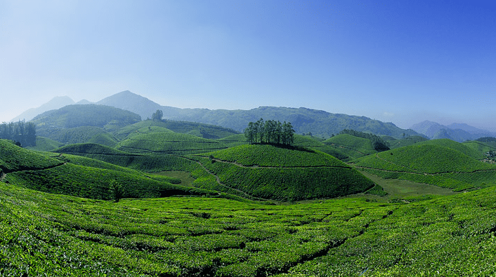 Munnar: The Hill Station of Dreams